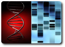 ACONSELHAMENTO GENÉTICO